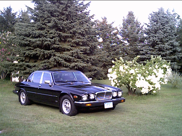 1987 Series III